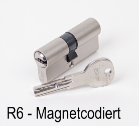 Einzelschließend Profilzylinder ISEO R6-MC N+G